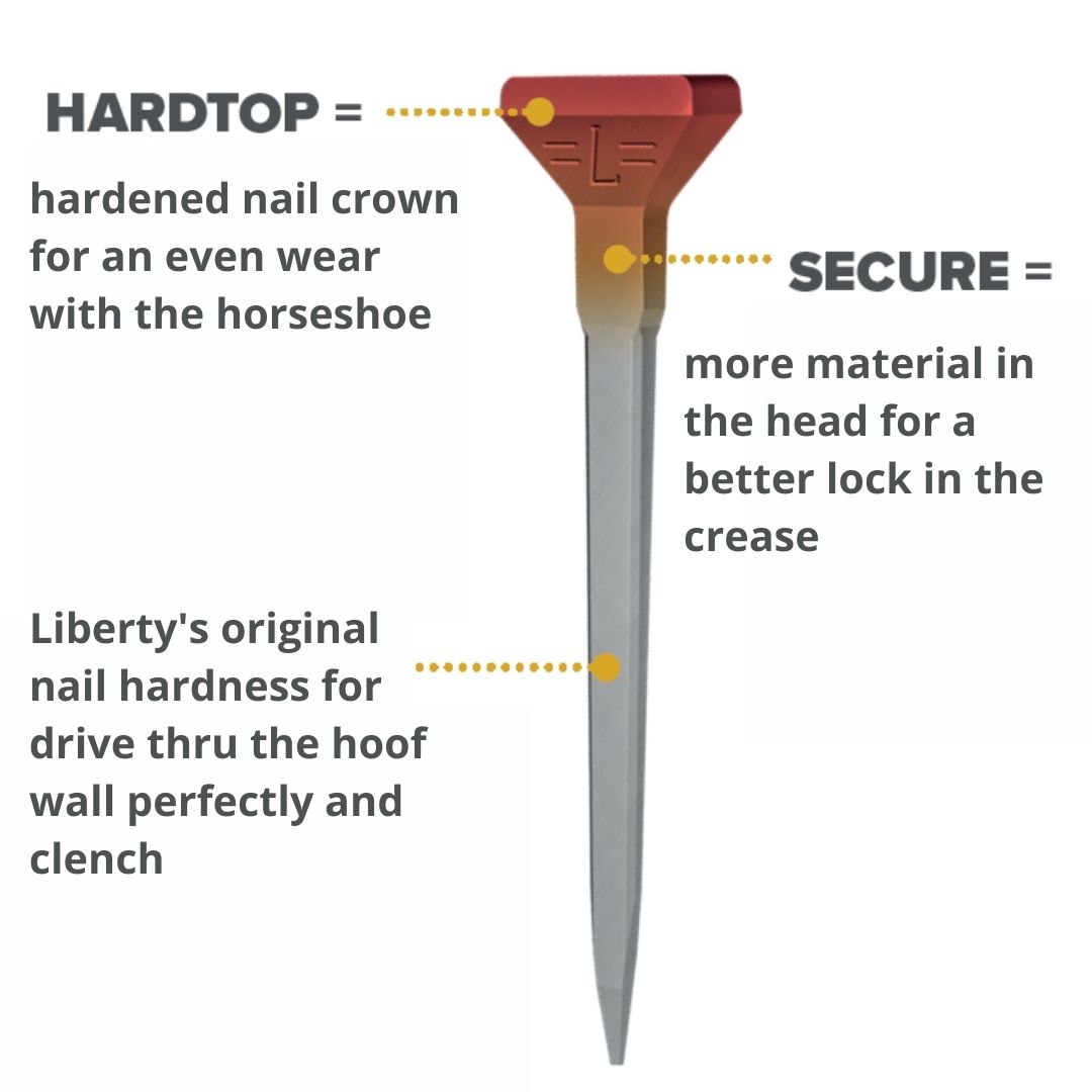 nail head features nail head features
